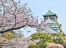 九游-惊天纪录荷甲制造 阿贾克斯13球狂胜是怎么回事?